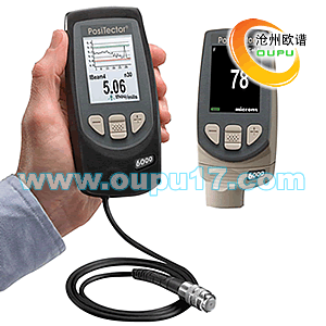 辽宁PosiTector 6000涂镀层测厚仪